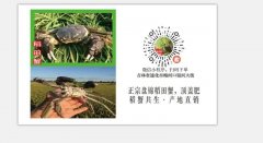 正宗盤錦河蟹活動來襲