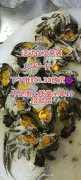 正宗盤錦河蟹活動來襲