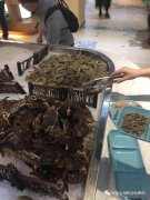鼎香山烤肉海鮮自助