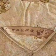 通達(dá)駕校十七年慶隆重推出: