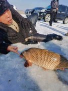 好消息！好消息！野豬河水庫野生魚冬捕
