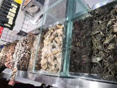 39元自助醬骨頭海鮮火鍋正式營業(yè)