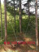山水人家山莊歡迎您！