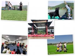 誰了解武漢漢口適合公司出游哪些地方熱鬧？急急急