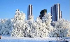 嫩水北疆山河麗 鶴舞雪原引客來