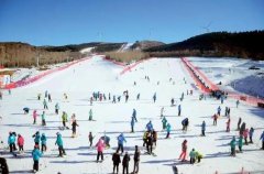 嫩水北疆山河麗 鶴舞雪原引客來