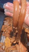 牛對牛全牛館  現預定春節