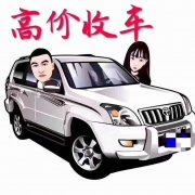 常年收售多臺1-9萬自動手動精品車