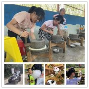 武漢附近學(xué)校春游行程大合集，江城熱門學(xué)生常去