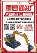 大小挖掘機(jī)租賃