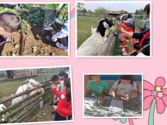 不會失望的武漢夏令營你還不清楚，樂農湖畔笙態園必選之地。