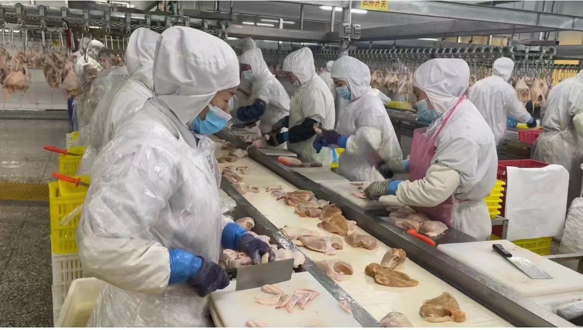 通化耘墾牧業招聘信息