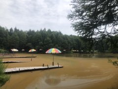 梅河口“”小溪湖野生魚垂釣園”歡迎你