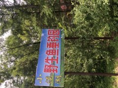 梅河口“”小溪湖野生魚垂釣園”歡迎你