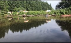 梅河口“小溪湖野生魚垂釣園”歡迎您