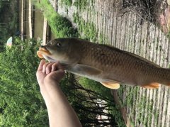 梅河口“小溪湖野生魚垂釣園”歡迎您