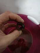 清洗地熱 射彈 脈沖兩種發法 價格百元起