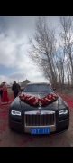 梅河口大弟婚禮車隊 承接全年大小婚禮