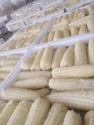 正宗東北速凍甜糯玉米