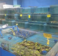 海鮮行整體低價轉讓（正常營業中）