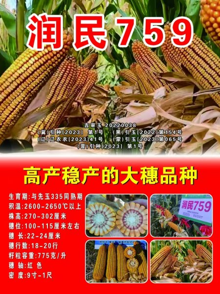 你有夢想有能力，我有平臺供你展示