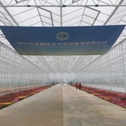 種植大棚 專業大棚建造 質量保證 智博農業科技