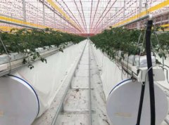 種植大棚 專業大棚建造 質量保證 智博農業科技